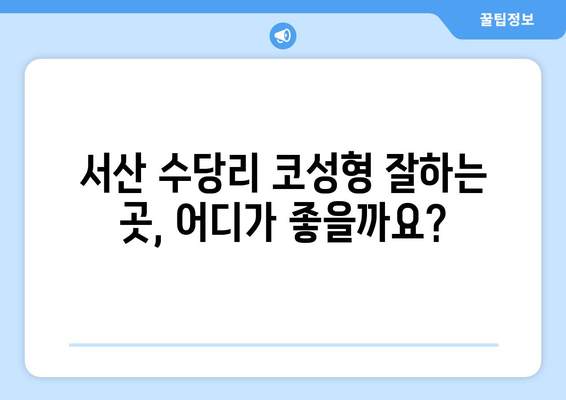 서산 수당리 코성형, 코수술 잘하는 곳 추천 | 코재수술, 콧대, 코끝, 낮은코, 매부리코, 휜코, 복코, 비용