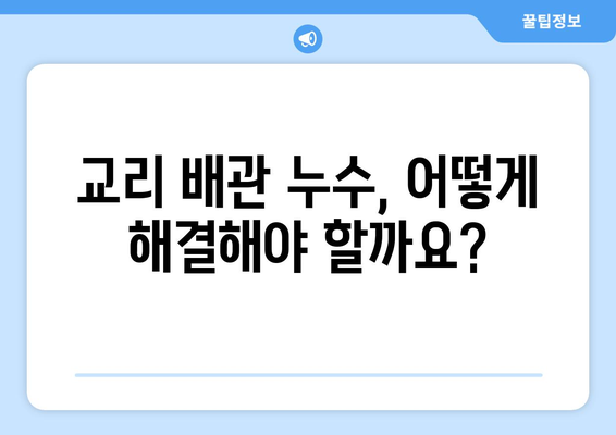 세종시 교리 배관 누수 해결 가이드| 원인 분석부터 전문업체 추천까지 | 누수, 배관, 수리, 세종시, 교리