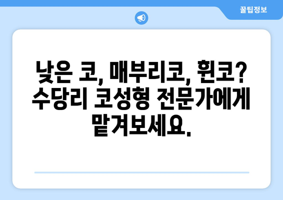 서산 수당리 코성형, 코수술 잘하는 곳 추천 | 코재수술, 콧대, 코끝, 낮은코, 매부리코, 휜코, 복코, 비용