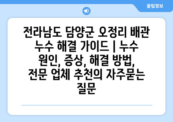 전라남도 담양군 오정리 배관 누수 해결 가이드 | 누수 원인, 증상, 해결 방법, 전문 업체 추천