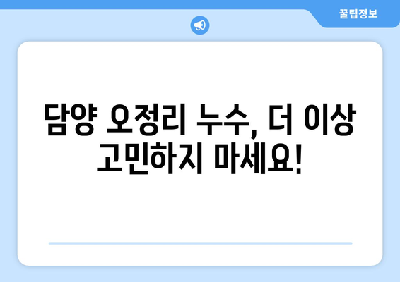 전라남도 담양군 오정리 배관 누수 해결 가이드 | 누수 원인, 증상, 해결 방법, 전문 업체 추천