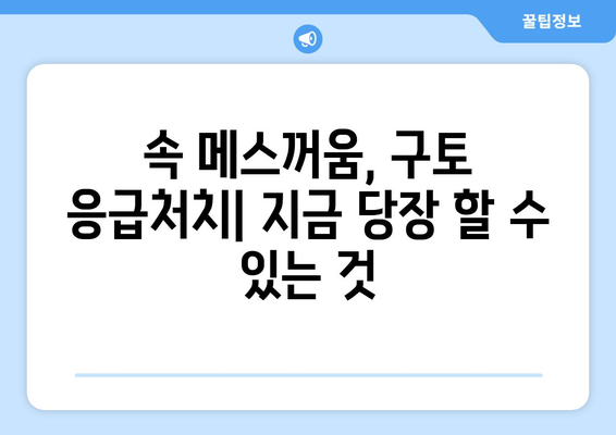 토할 것 같을 때 즉시 해결하는 5가지 방법| 속쓰림, 메스꺼움, 구토 증상 완화 | 속 메스꺼움, 구토, 응급처치, 해결책, 팁