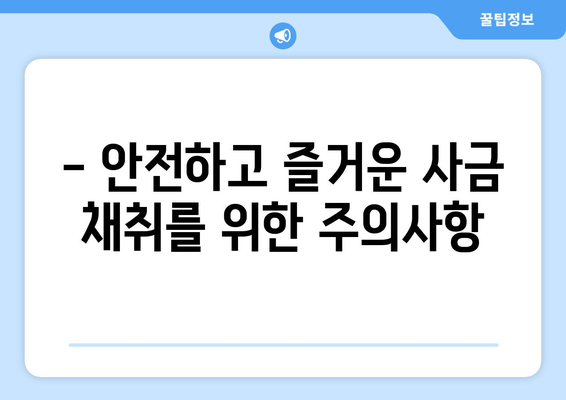 국내 사금 채취 명소 추천| 돈 되는 곳은 어디? | 금, 금광, 사금 채취, 탐사, 주의사항