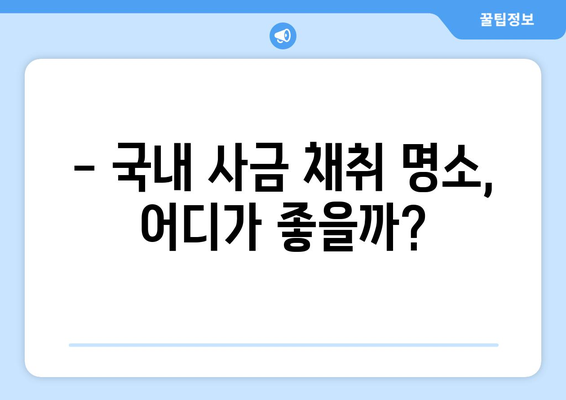 국내 사금 채취 명소 추천| 돈 되는 곳은 어디? | 금, 금광, 사금 채취, 탐사, 주의사항