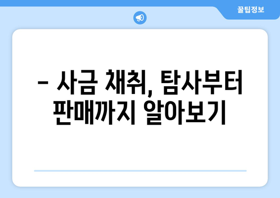 국내 사금 채취 명소 추천| 돈 되는 곳은 어디? | 금, 금광, 사금 채취, 탐사, 주의사항