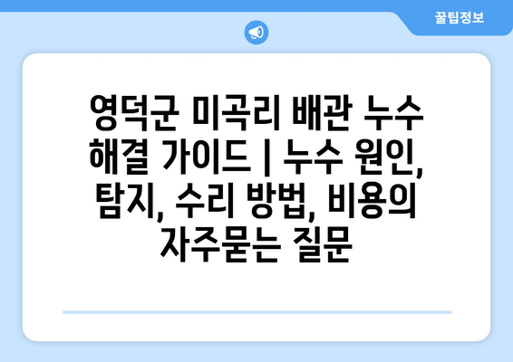 영덕군 미곡리 배관 누수 해결 가이드 | 누수 원인, 탐지, 수리 방법, 비용